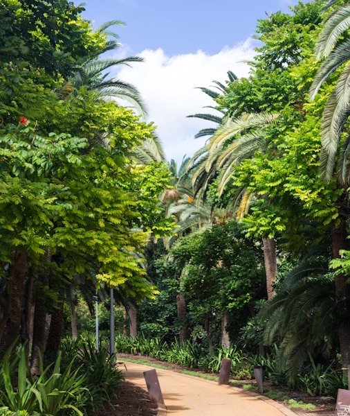 Loro Parque Tickets 2026