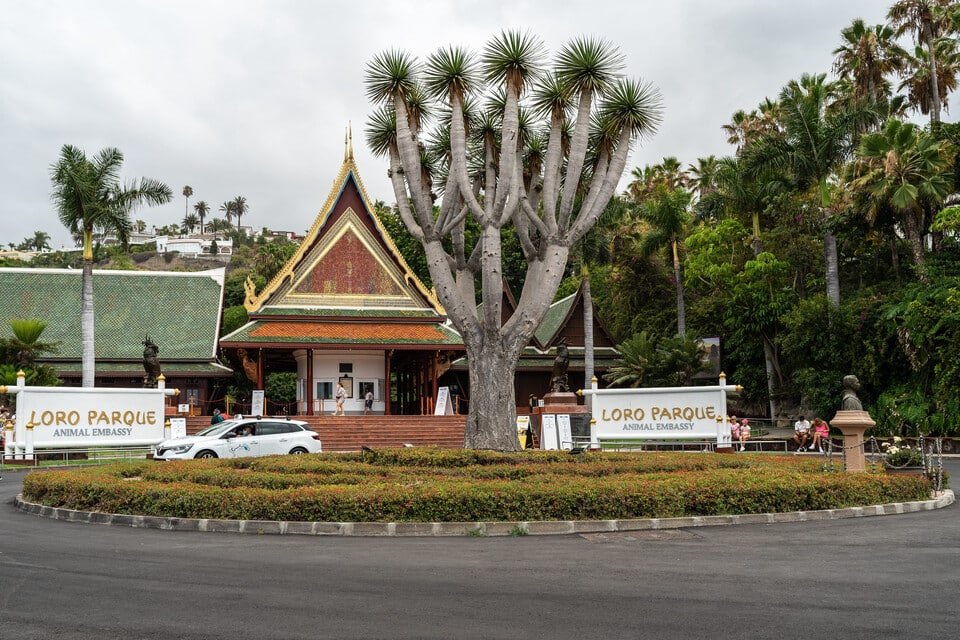 Loro Parque Tickets 2026