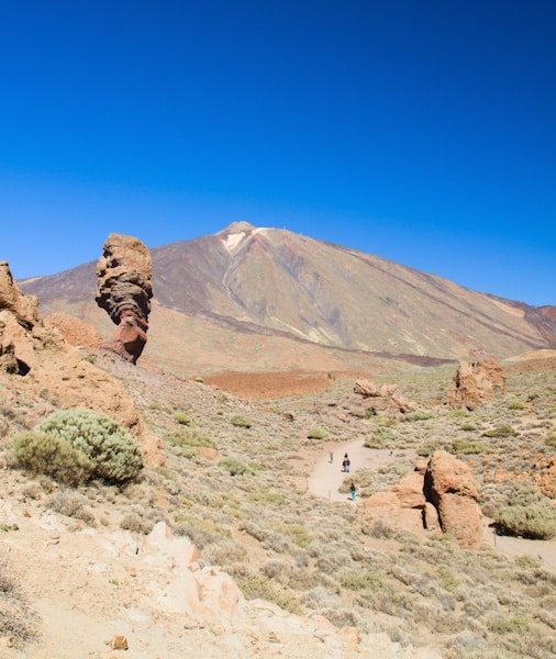Mount Teide Tour 2026