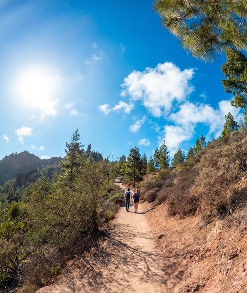 Mount Teide Tour 2026