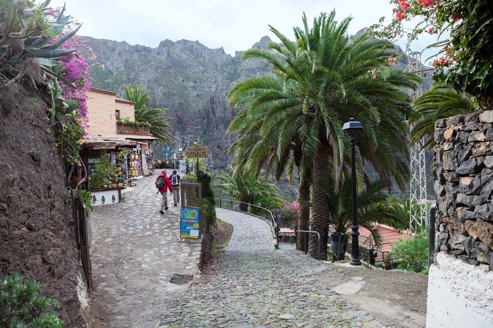Mount Teide Tour 2026