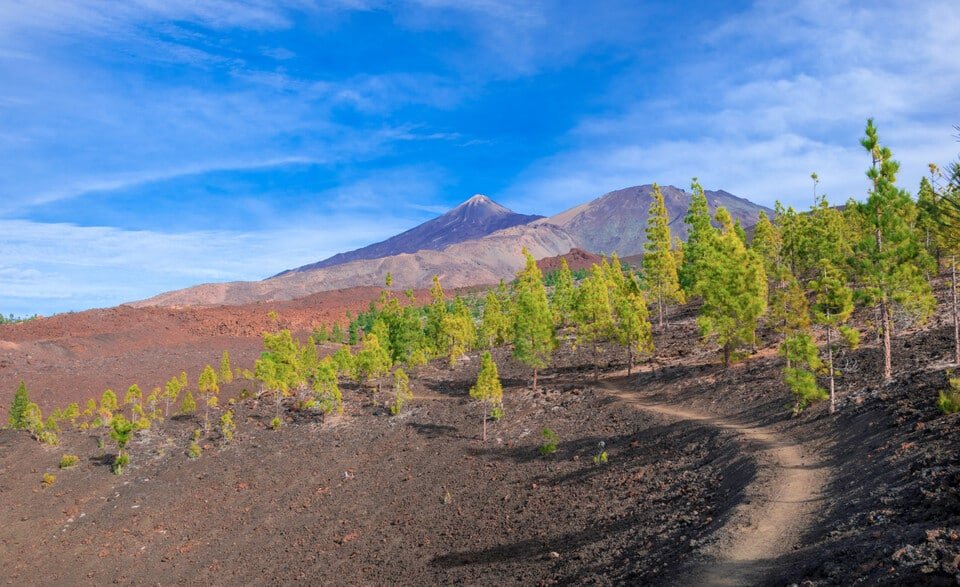 Mount Teide Tour 2026
