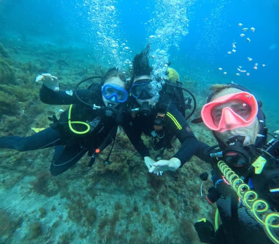 Scuba Diving Tenerife 2026
