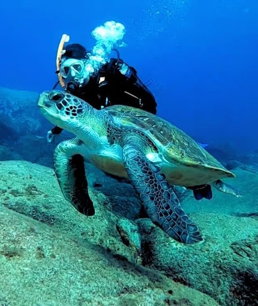 Scuba Diving Tenerife 2026
