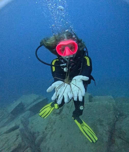Scuba Diving Tenerife 2026