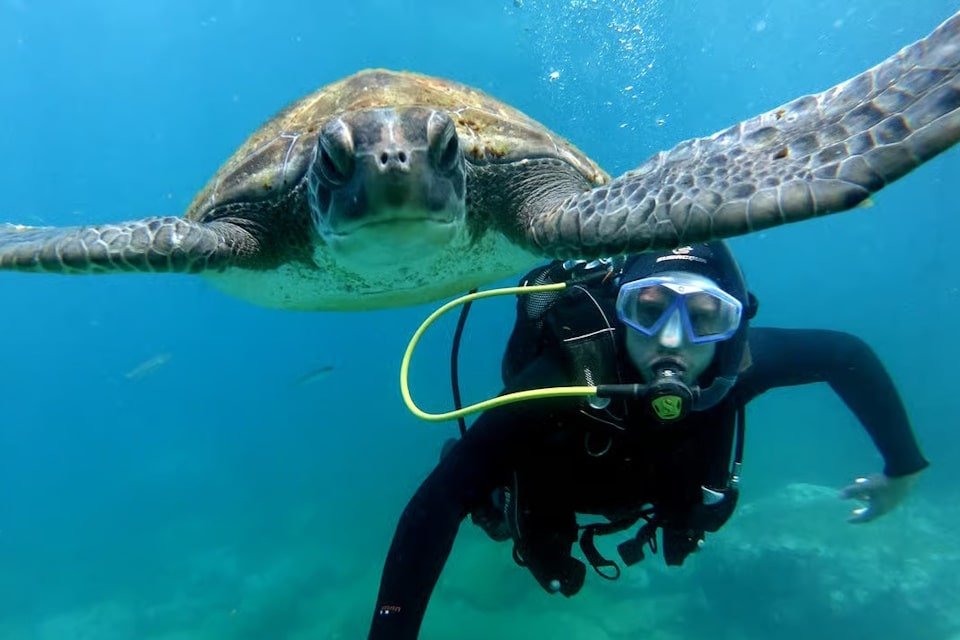 Scuba Diving Tenerife 2026
