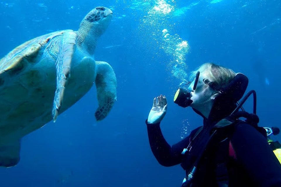 Potápění na Tenerife
