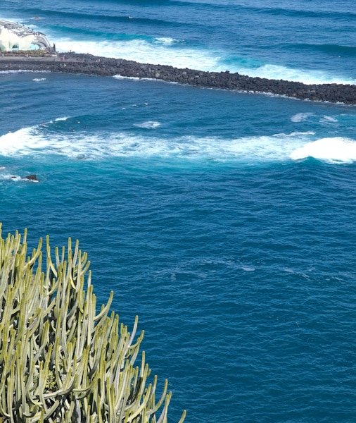 Výlety lodí na Tenerife 2026