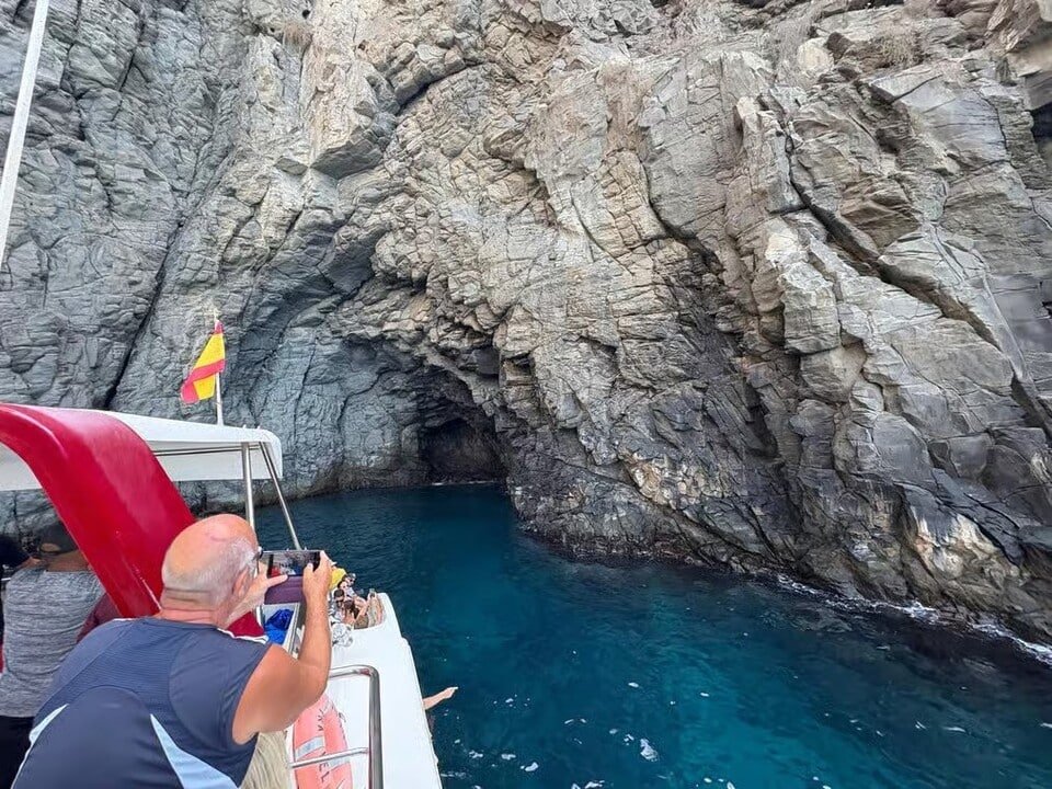 Whale Watching Tenerife 2026