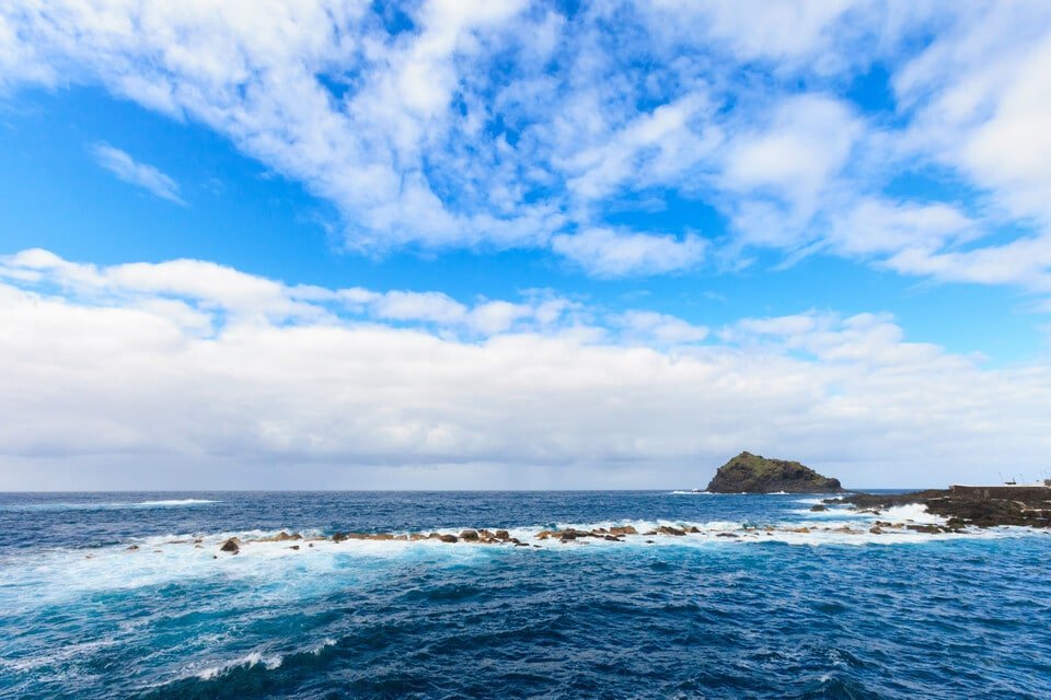 Whale Watching Tenerife 2026